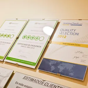 Centro 2*, Granada İspanya